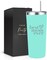 Best Mom Ever Gifts Tumbler - Stainless Steel 22 Oz Mint Green Best Mom Tumbler with Straw and Lid - Ideal Mothers Day Gift, Coffee & Water Bottle for New Moms - Best Mom Cup Present